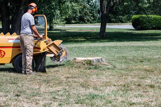 Lot Clearing — Combs' Tree Service