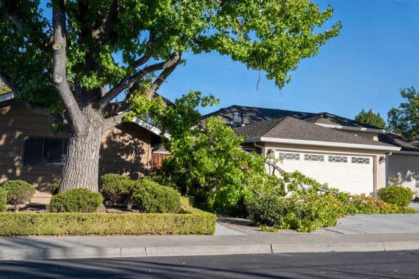 Storm Clean-Up — Combs' Tree Service