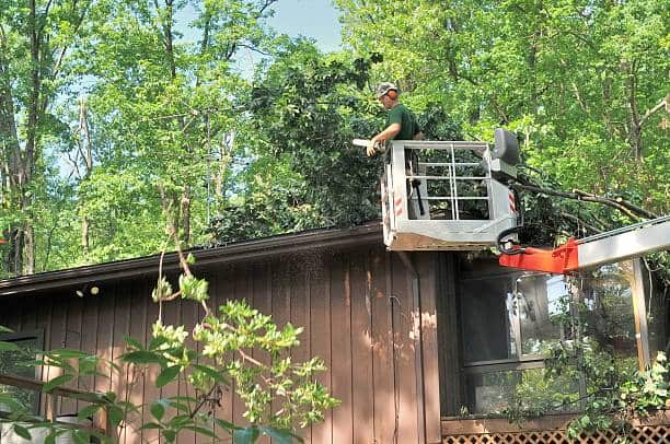 Tree Removal — Combs' Tree Service