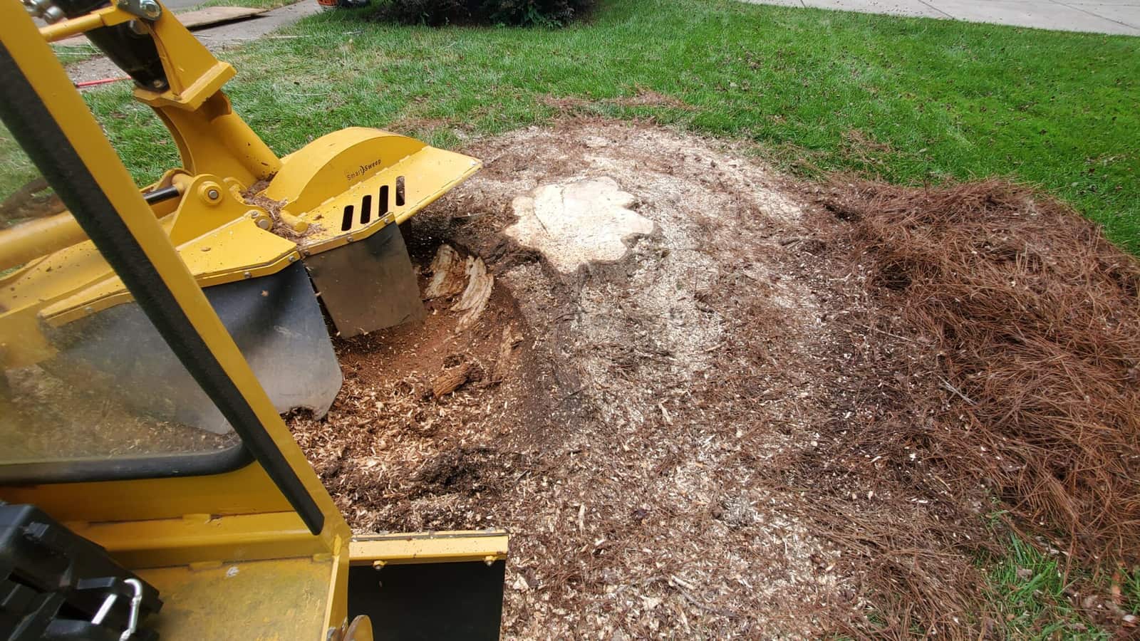 Tree trimming service — Charlotte Metro