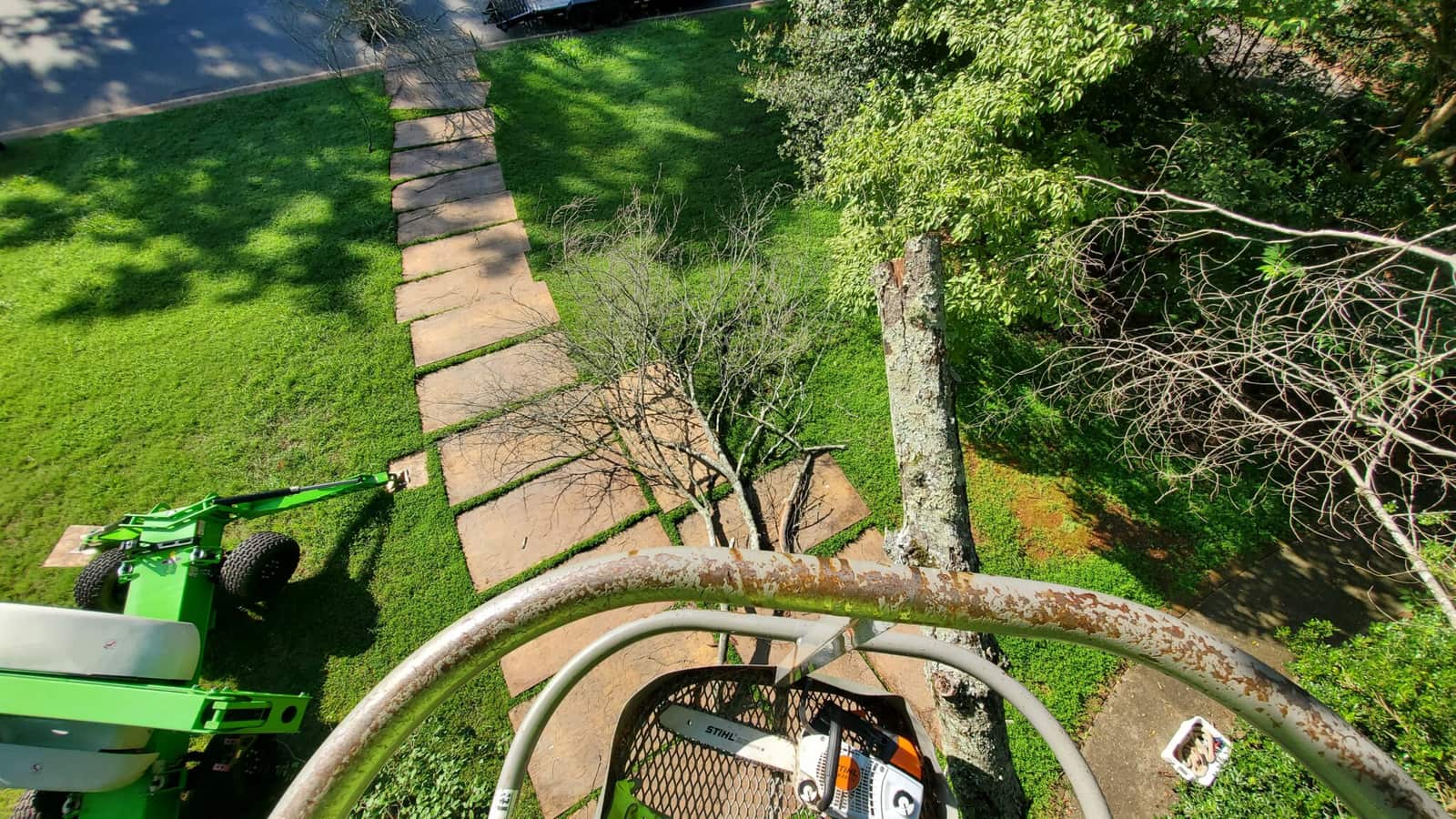 Combs' Tree Service crew